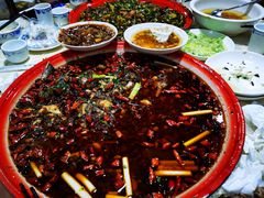 -东吴霸王兔(松青路店)