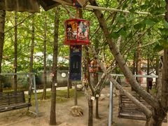 -香木香羊(小汤山店)