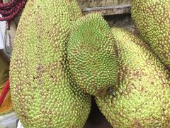 -三亚新鸿港水果一级批发市场