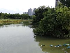 -金山公园