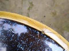 -东天目山风景区