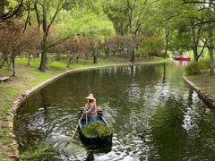 -上海共青森林公园