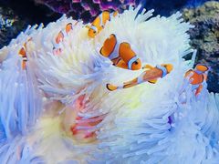 -沈阳海洋探索中心