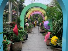 -The Grounds of Alexandria