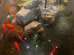 -映像威海·威海宴(威高广场店)
