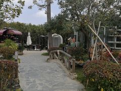 -花溪雨·森林餐厅(石基店)