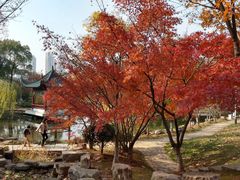 -月湖风景区