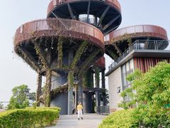 -芒洲湿地公园