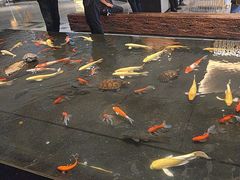 -大和洗浴休闲会所(宏大广场店)