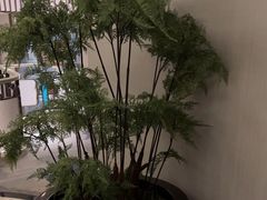 -浅深(世茂滨江精品店)