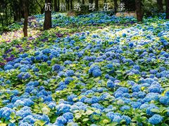 -临平公园(临平街道)