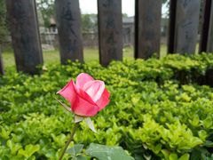 -三里河公园