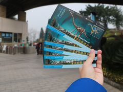 -自贡恐龙博物馆