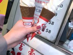 -富豪雪糕车流动点(尖沙咀店)