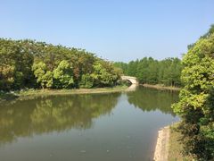 -上海海湾国家森林公园
