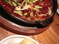 -老板恋上鱼(振华商厦店)