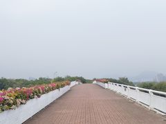 -厦门园林博览苑