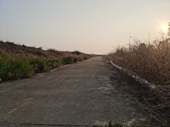 -光明小镇欢乐田园