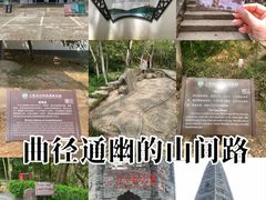 -上海佘山国家森林公园天马山园