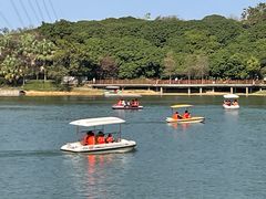 -水濂山森林公园