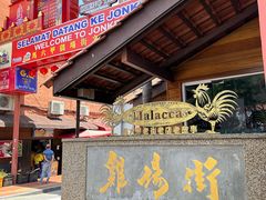 -马六甲鸡场街