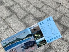 -广东惠东海龟国家级自然保护区