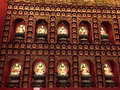 -新加坡佛牙寺龙华院