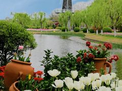 -上海鲜花港