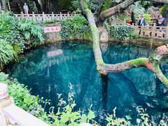 -蝴蝶泉公园