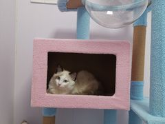-博特宠物医院24h犬猫全科.骨科·异宠