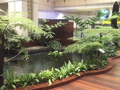 -樟宜机场免税店