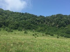 -白草畔自然风景区