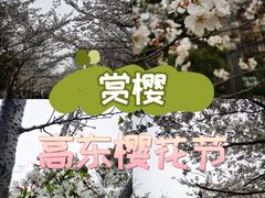 -高东镇樱花园