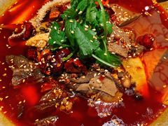 -辛香汇·现炒川菜(淮海路百盛店)