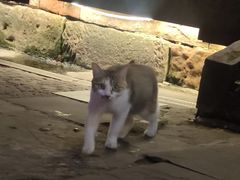 -重庆十八梯传统风貌区