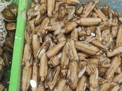 -和源祥·日照菜扛把子(万平口一店)