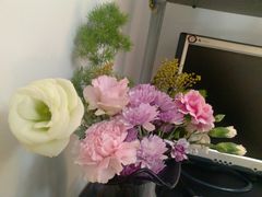 -花未央花店·WEYOUNG