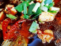 豆腐鱼火锅-江龙饭店·乌江豆腐鱼(乌江老桥头店)