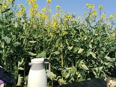 -中国天府农业博览园