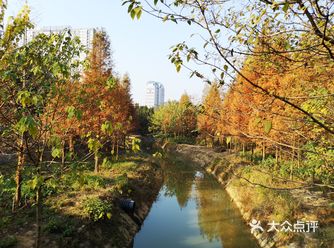 今年冬天不太冷， 少了白色… 但是红，黄色