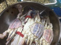 -天天鱼港·海鲜·鲅鱼水饺·招牌烤鸭(黄骅店)