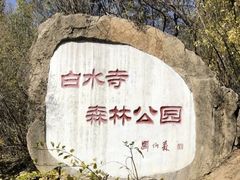 -白水寺森林公园