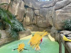 -杭州开元森泊度假乐园