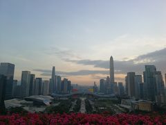 -莲花山公园