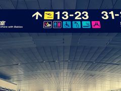 -石家庄正定国际机场-T2航站楼