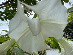 -广州神农草堂中医药博物馆