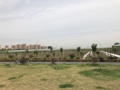 -菊园百果园