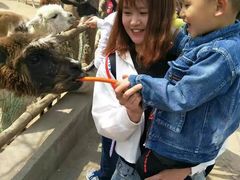 -西安秦岭野生动物园