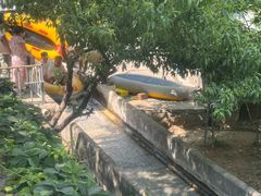 -十渡高山漂流