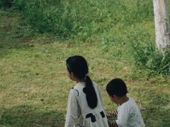 -宜兴龙背山森林公园
